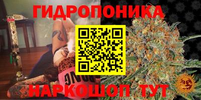 твердый Кунгур