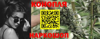 сатива Кулебаки